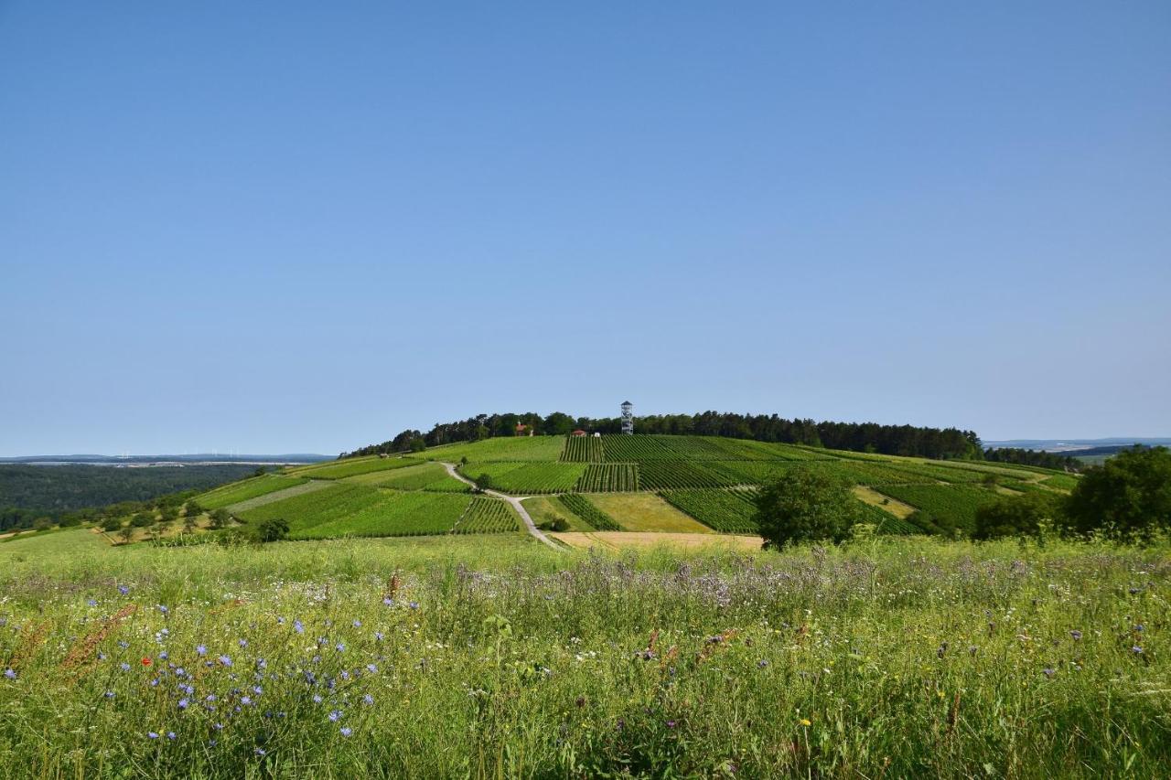Ferienwohnung Auf Dem Dorf, Kuelsheim エクステリア 写真